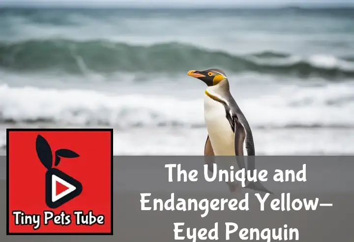 A Yellow-Eyed Penguin stands on a beach, its yellow eyes and head contrasting with the ocean backdrop.