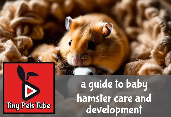 A mother hamster cuddles with her newborn pups in a cozy, warmly lit nest of bedding and soft tissue.